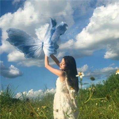 第四期计划 在线观看封面